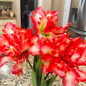 NWT. Beautiful Coral Flowers from Pier 1